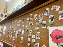 -小豆海棠(嘉兴路店)