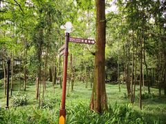 -峨眉山报国寺
