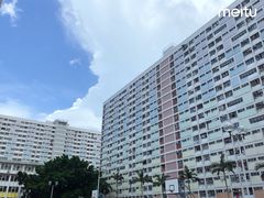 -彩虹村