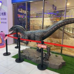 -玩具反斗城(正大广场店)