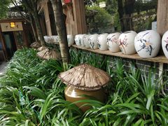 -青城甲(青城山店)