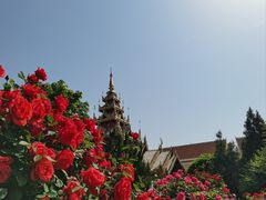 -洛阳白马寺