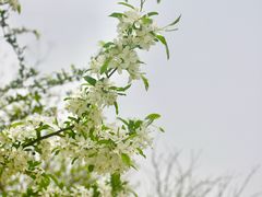 -无锡梅园公园