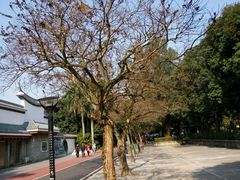 -南宁南湖公园