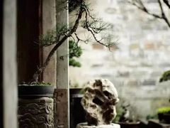 -道南書院·私房菜·早午茶·茶馆