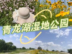 -青龙湖公园