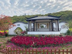 -苏州上方山国家森林公园