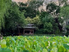 -罔极寺