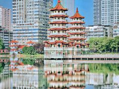 -宝岛公园
