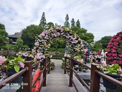 -无锡蠡湖国家湿地公园-蠡园