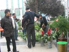 -渭滨公园