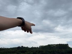 -广东花都湖国家湿地公园