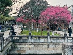 -昭明书院