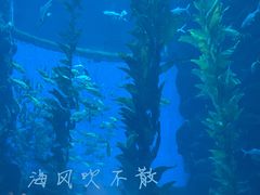 -南昌融创海世界