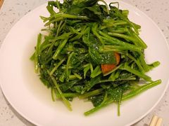 蒜蓉炒苋菜-鼎泰丰(南门店)