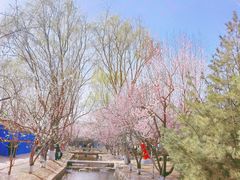 -三里河公园