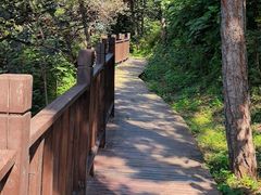 -北京十三陵国家森林公园蟒山景区