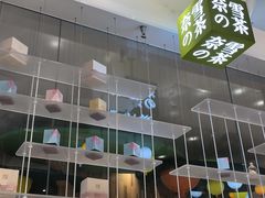 -奈雪的茶(国金中心店)