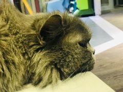 -小时光咖啡馆(开森度假森林店)