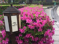 -庐山天沐温泉度假村