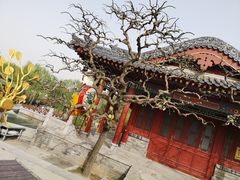 -华清宫景区