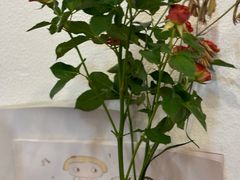 -山由之cafe&meal(小寨店)