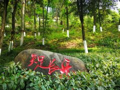 -重庆平顶山公园