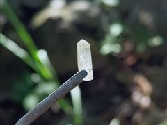 -火炉山森林公园