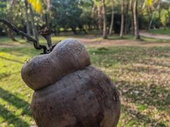 -白沙门生态公园