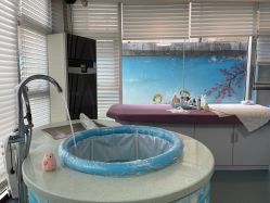 -馨月汇·一悦馨香月子中心(前滩店)