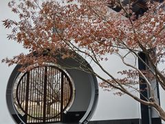 -嘉北郊野公园