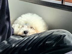 -云座·时光·观景咖啡厅(五爷庙店)