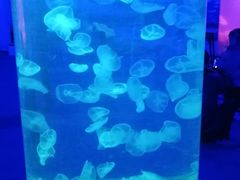 -成都星期8小镇(江宁南路店)
