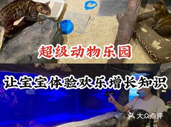超级动物乐园让宝宝体验欢乐增长知识