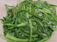 -大班家政月嫂育儿嫂(总部店)