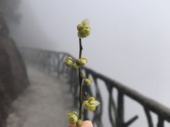 -大明山自然探索公园