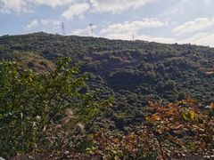 -大罗山风景区