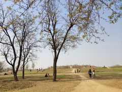 -汉长安城未央宫国家考古遗址公园