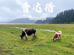 -普达措国家公园
