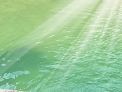 -南海湾森林生态园