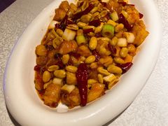宫爆鸡丁-乾园(天河城店)