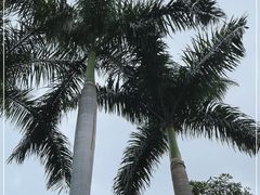 -广州市白云山风景名胜区