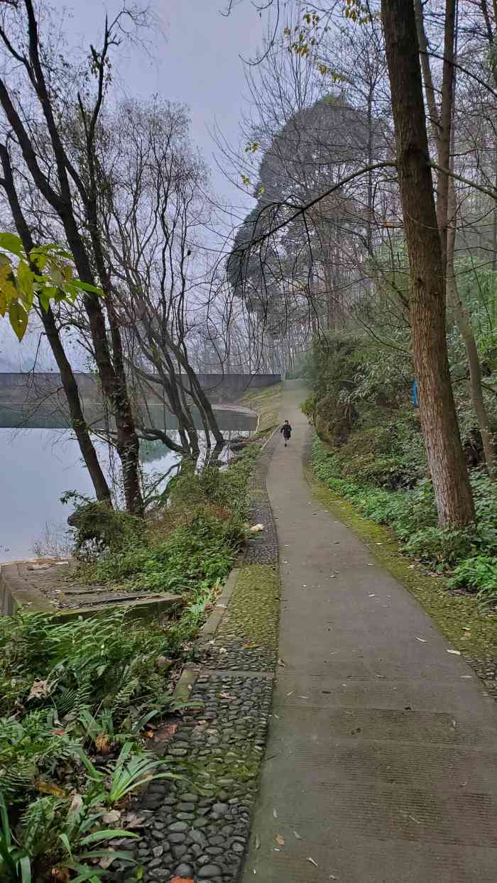 柒月麓山-"朋友带去玩儿的好地方,人少景色优美,既锻.