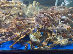 -蟹之国·精品蟹料理(极地店)