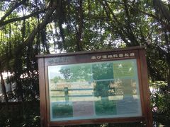 -大湾区中央湿地公园