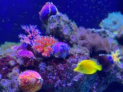 -成都浩海立方海洋公园