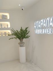 -安那般那皮肤年轻化ANAPANA