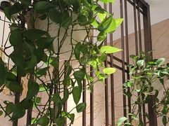 -阿娘家·原生态农家菜(国顺东路店)