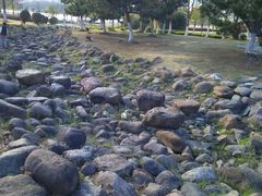 -白塘生态植物园