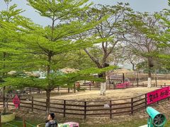 -盈香心动乐园